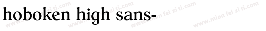 hoboken high sans字体转换